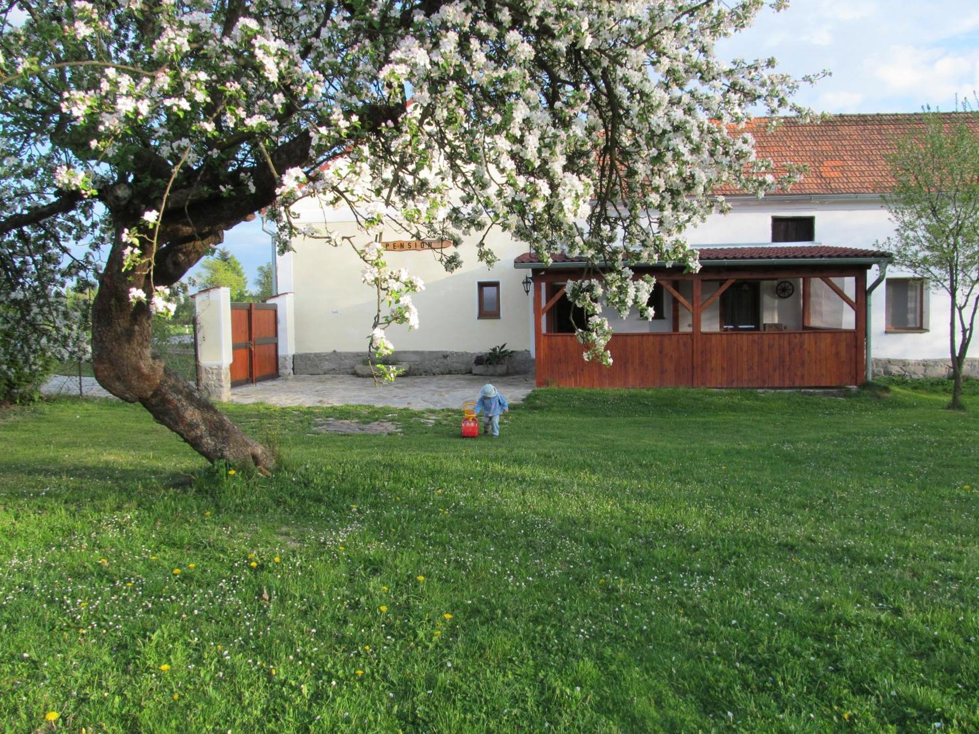 Pension Otevek Trhove Sviny Экстерьер фото